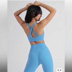 Buffbunny Legacy Alaska 🩵 Bra | Large